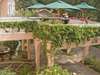 House of Waine -Garden 